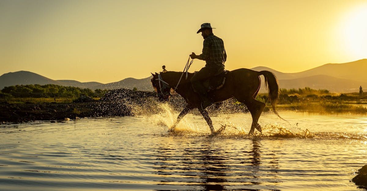 Veteran participating in Heroes and Horses program, thanks to charitable transportation