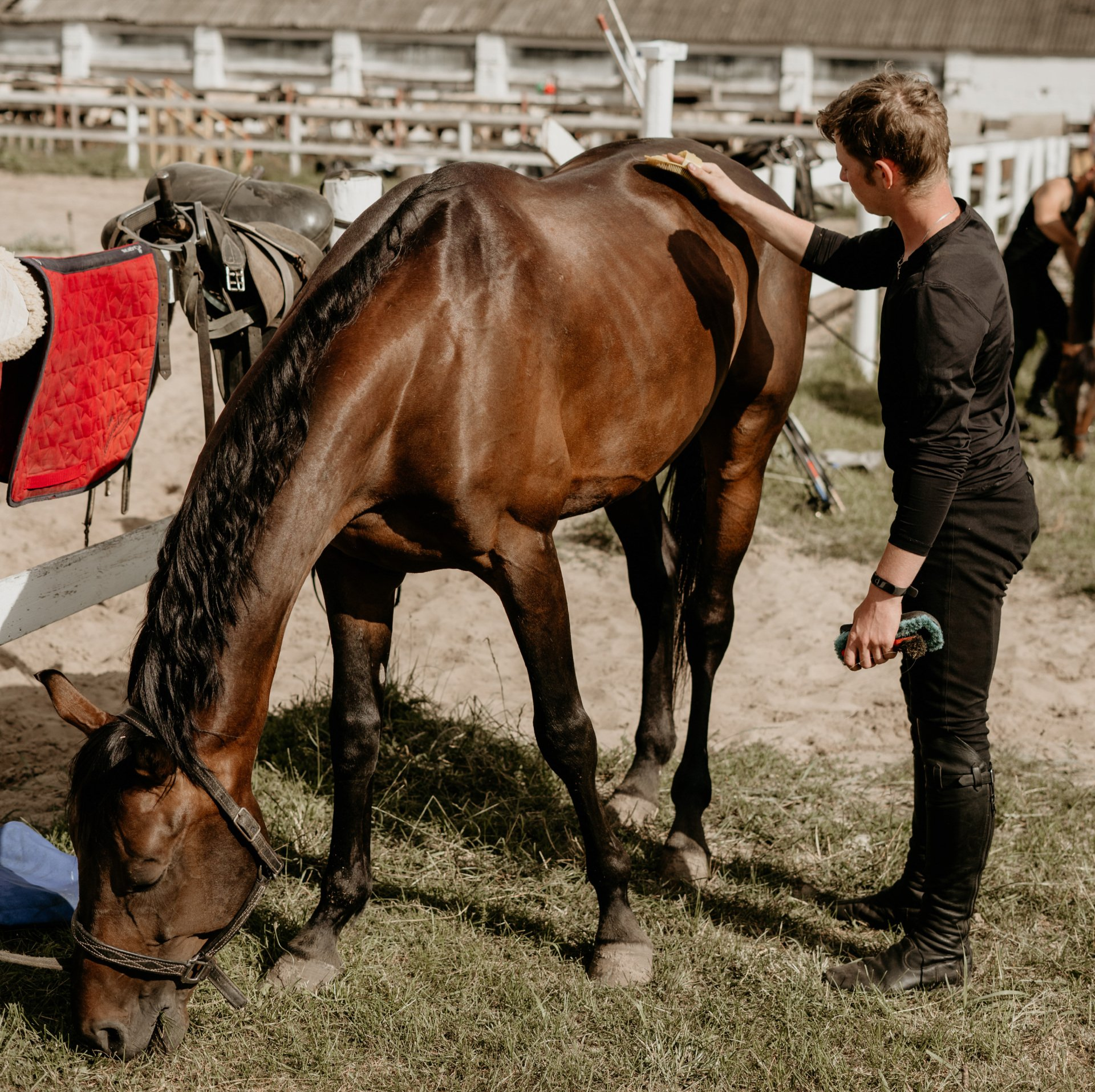 Veteran who received flight assistance participates in equine therapy