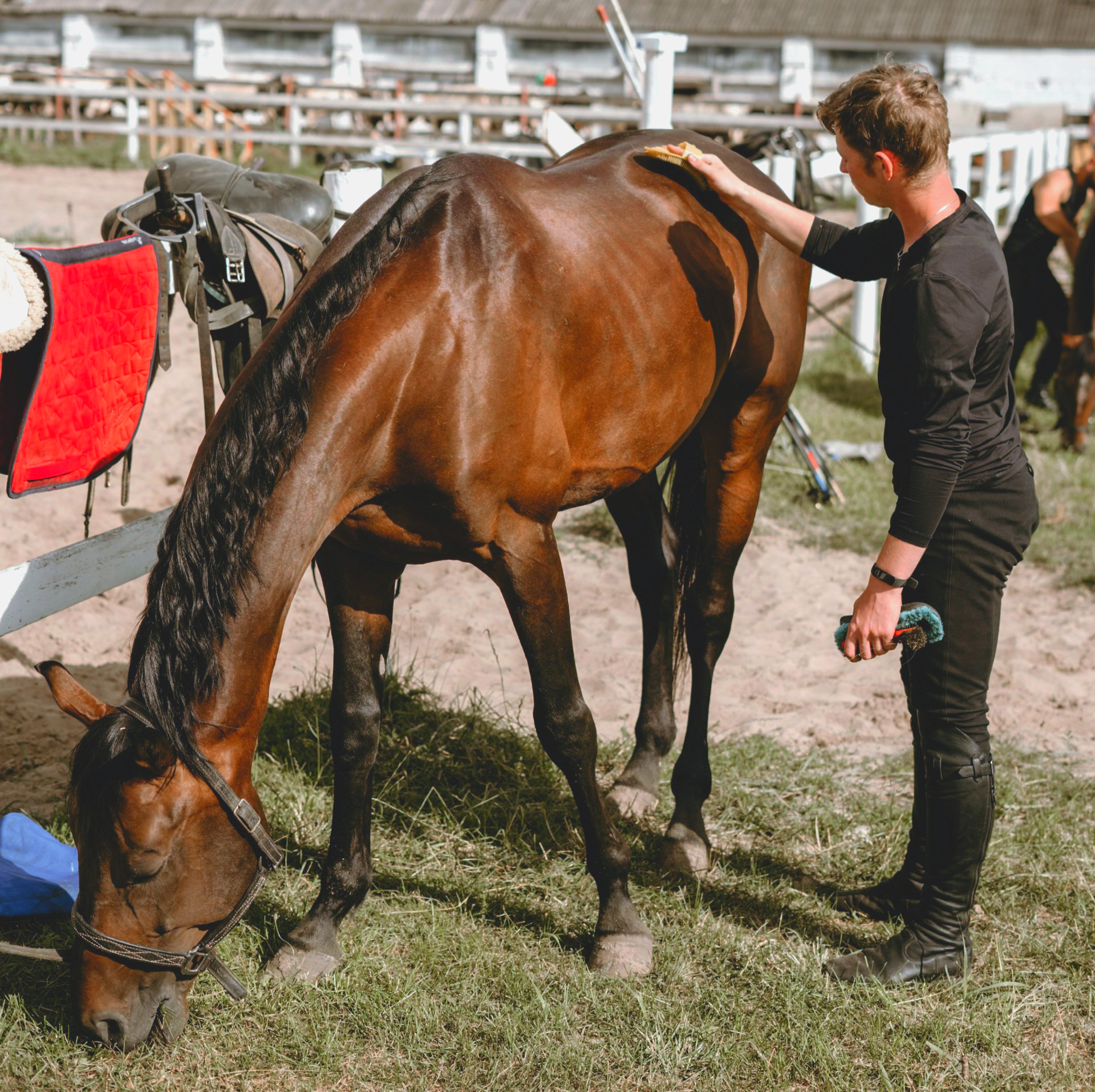 Flight assistance made it possible for a Veteran to participate in equine therapy.