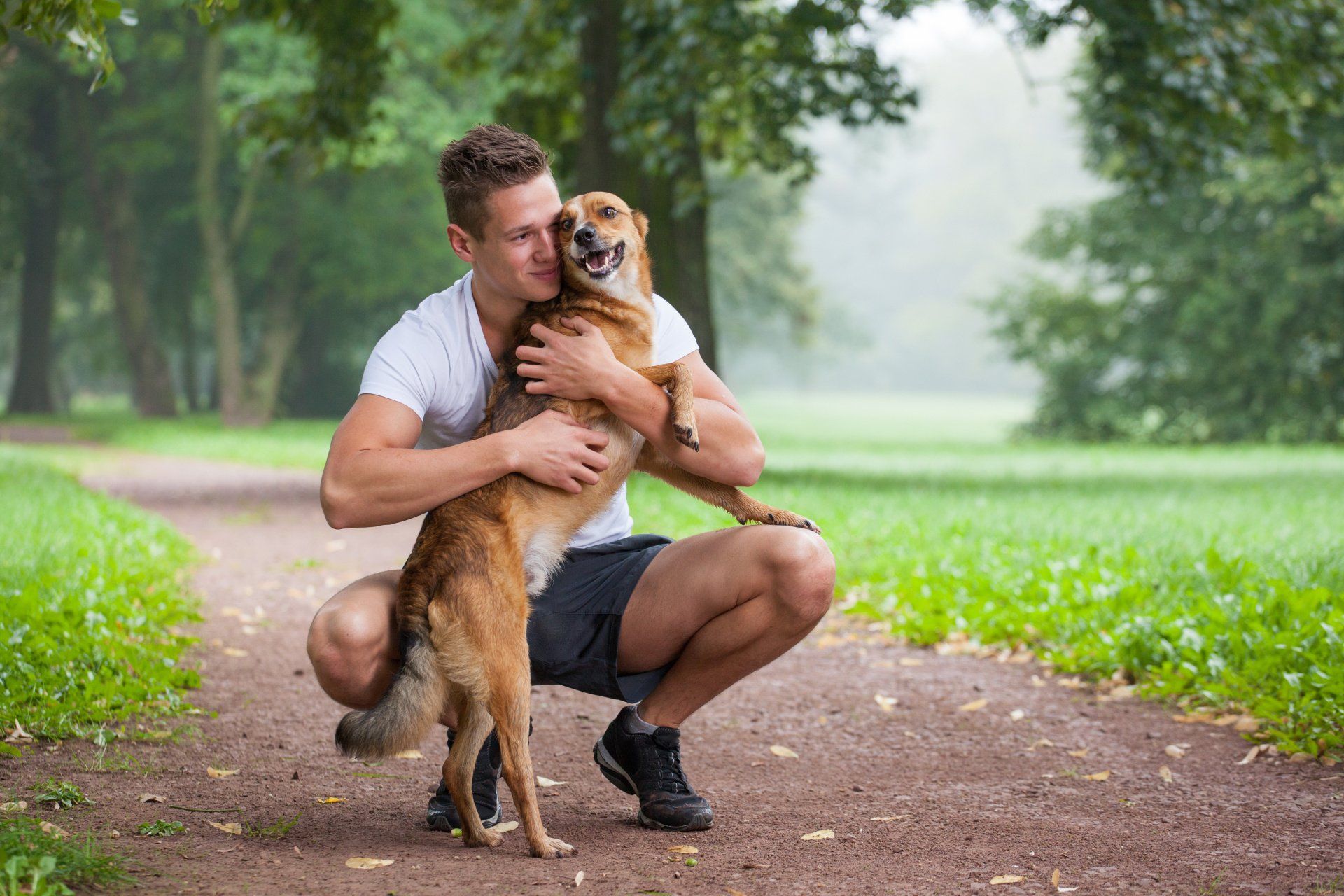 Free Medical Transport Service Dogs for Vets
