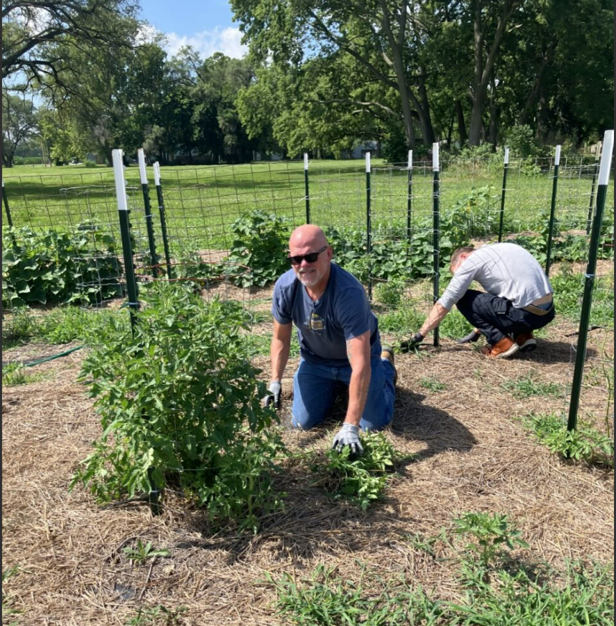 ICL Lawrence staff clean garden