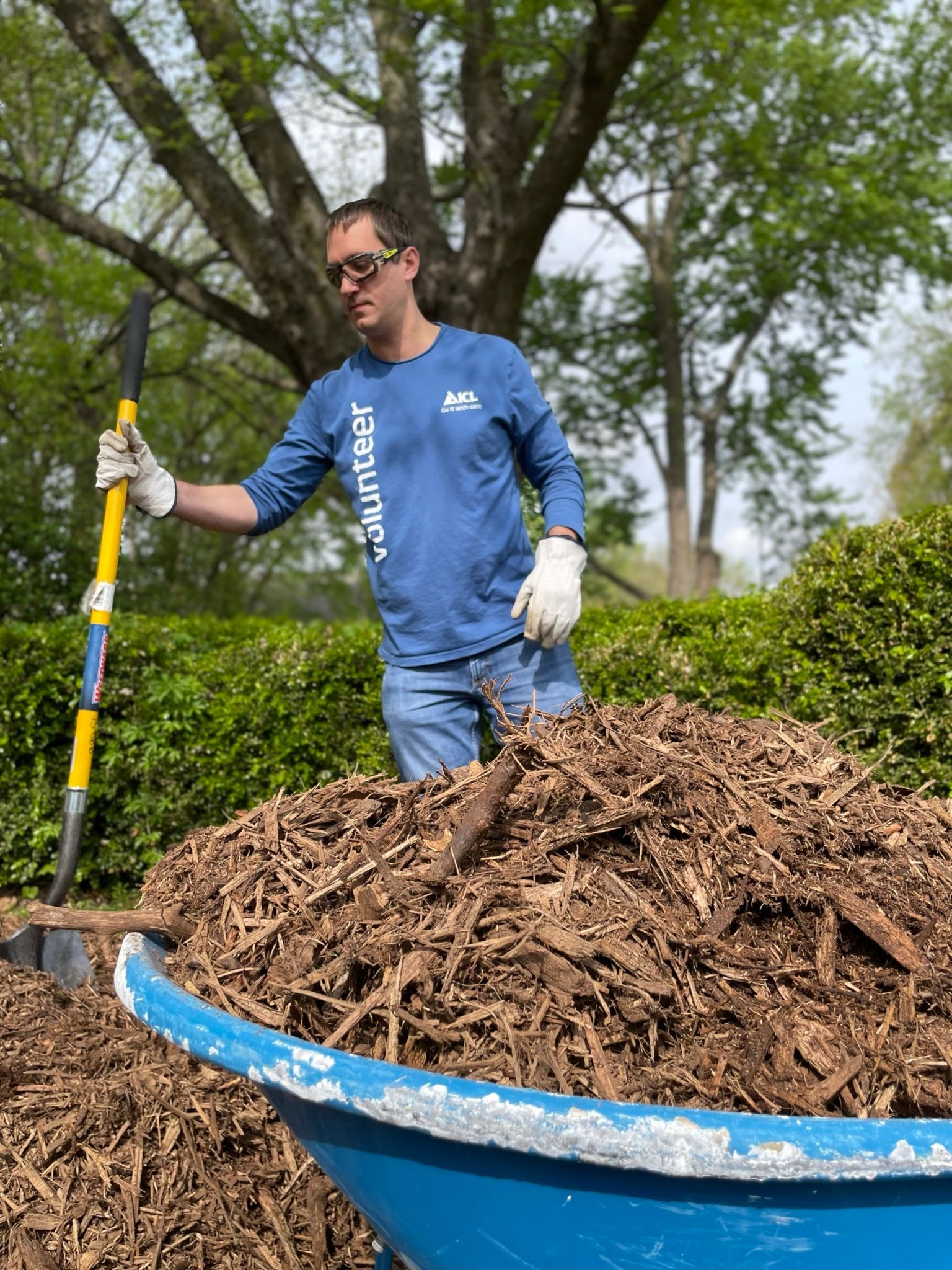 A man is working hard at the ICL community garden.
