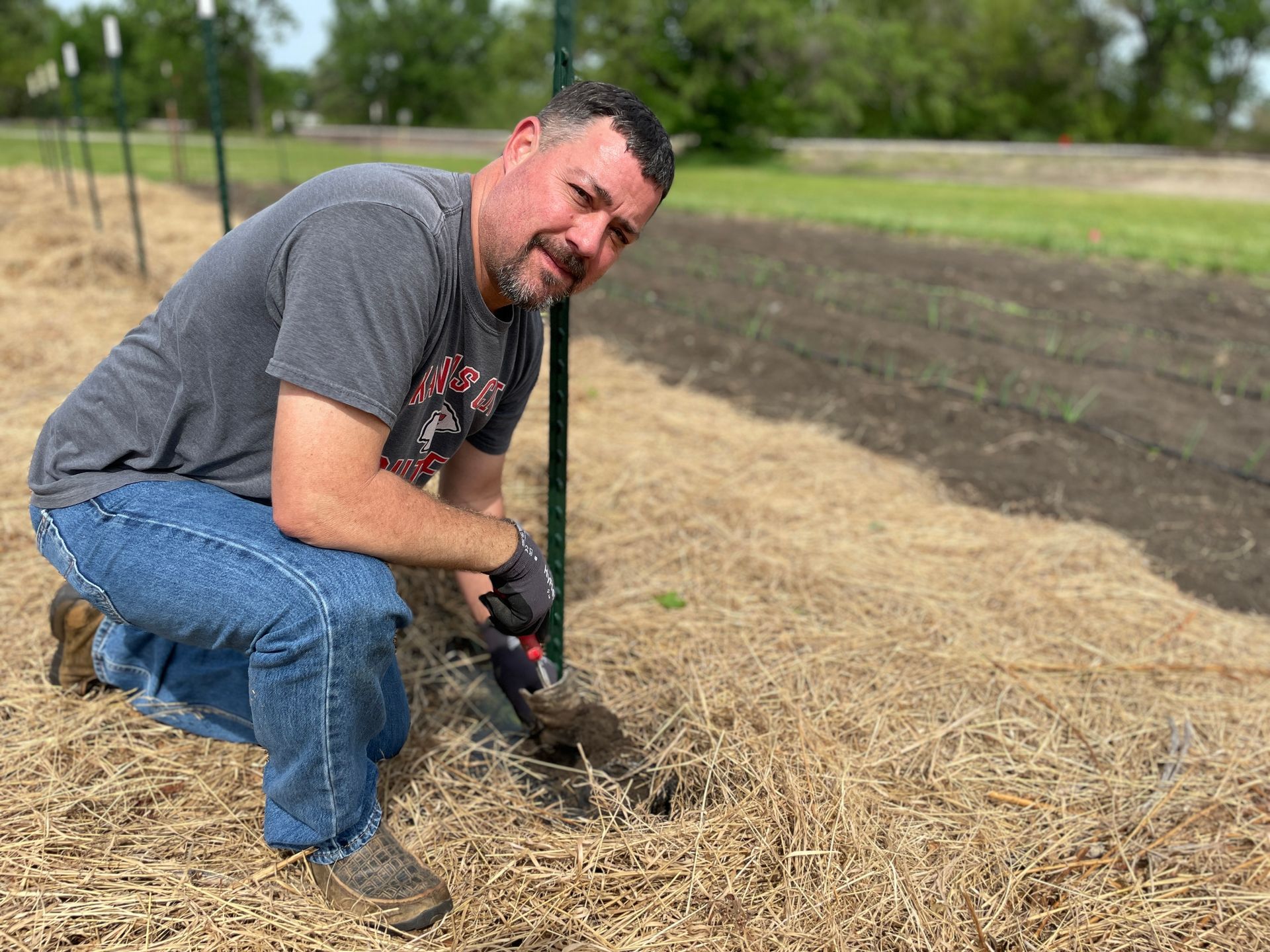 A man is kneeling as digs a hole at the ICL Spring Planting.