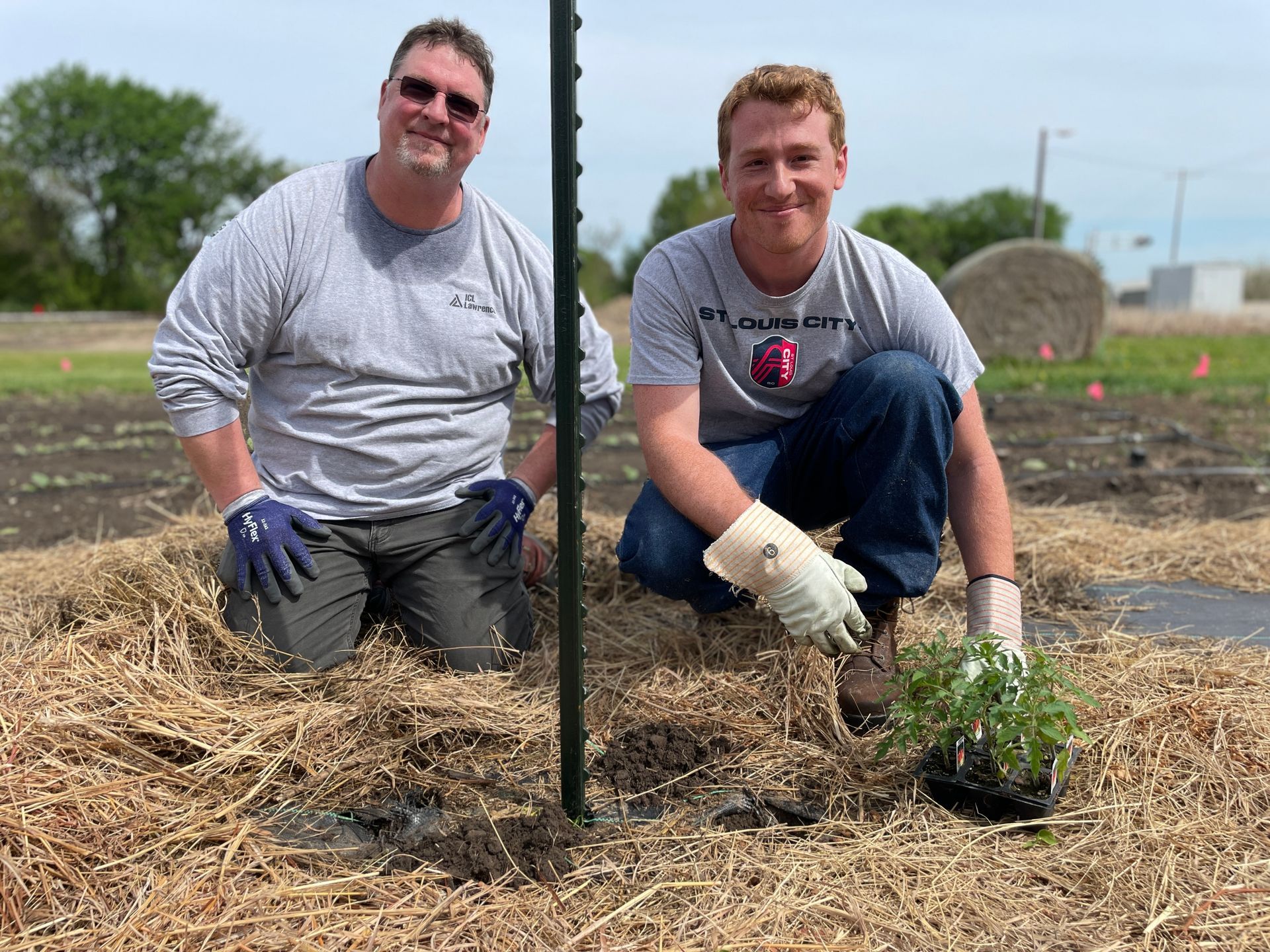 Two ICL employees are kneeling on the ground to plant a plant in the ground.