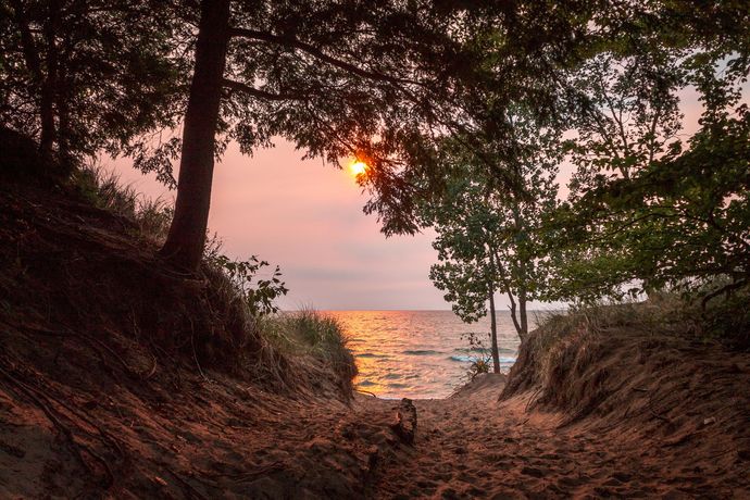 The sun is setting over the ocean through the trees