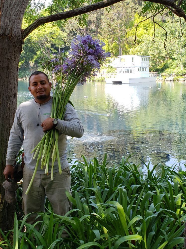 A man is holding a bunch of purple flowers in front of a lake.