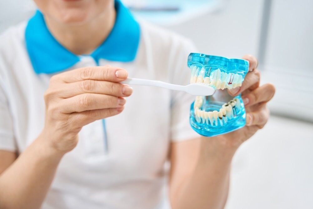A Woman Is Brushing Her Teeth With A Toothbrush On A Model Of Teeth — Dentures Direct Taree-Rod Hinton In Wauchope, NSW