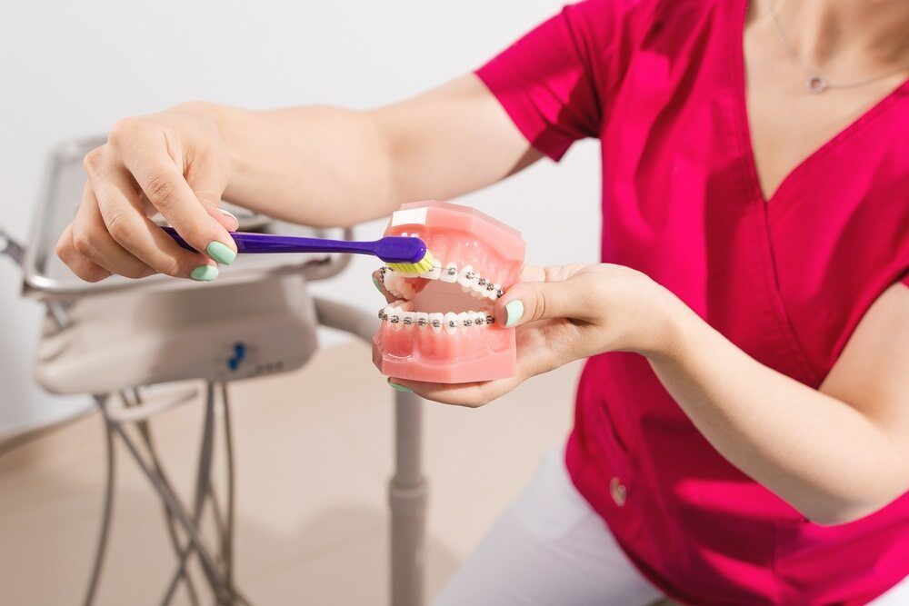 A Dentist Is Brushing A Model Of Teeth With A Toothbrush — Dentures Direct Taree-Rod Hinton In Taree, NSW