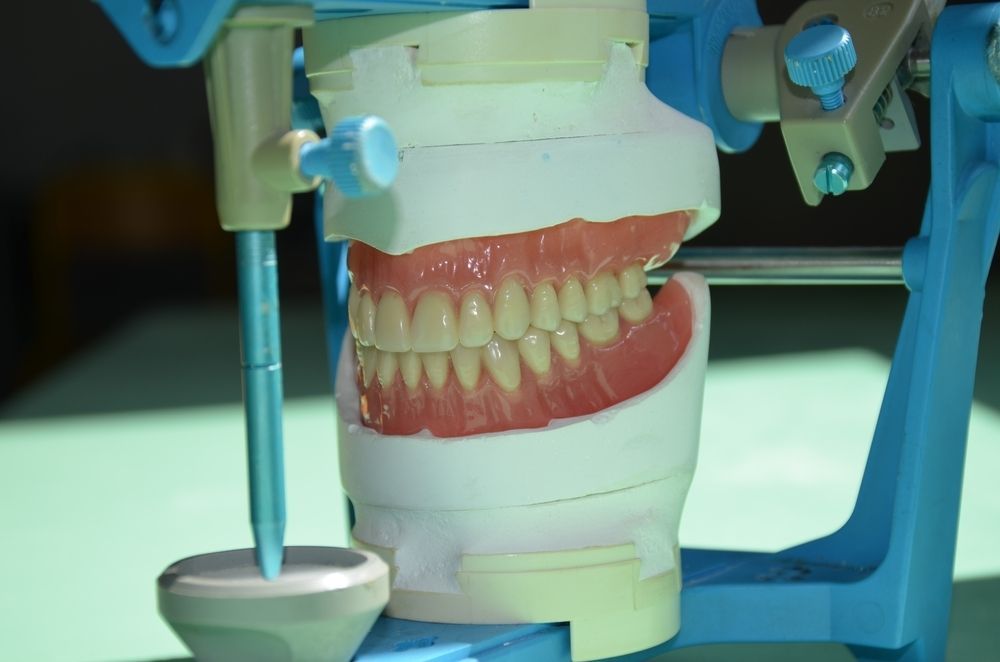 A Model Of A Person 's Teeth Is Sitting On A Table — Dentures Direct Taree-Rod Hinton In Taree, NSW
