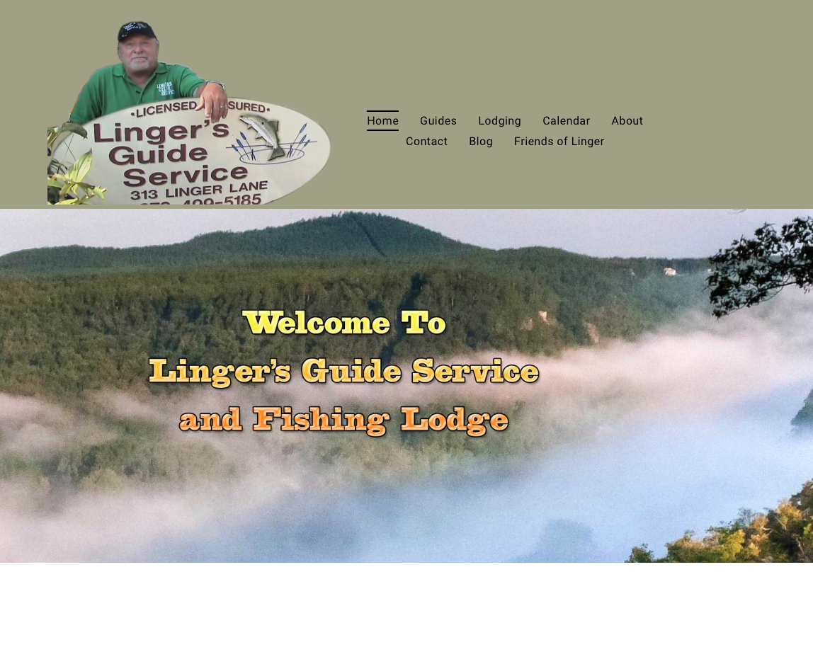Website Design Lingers Guide Service