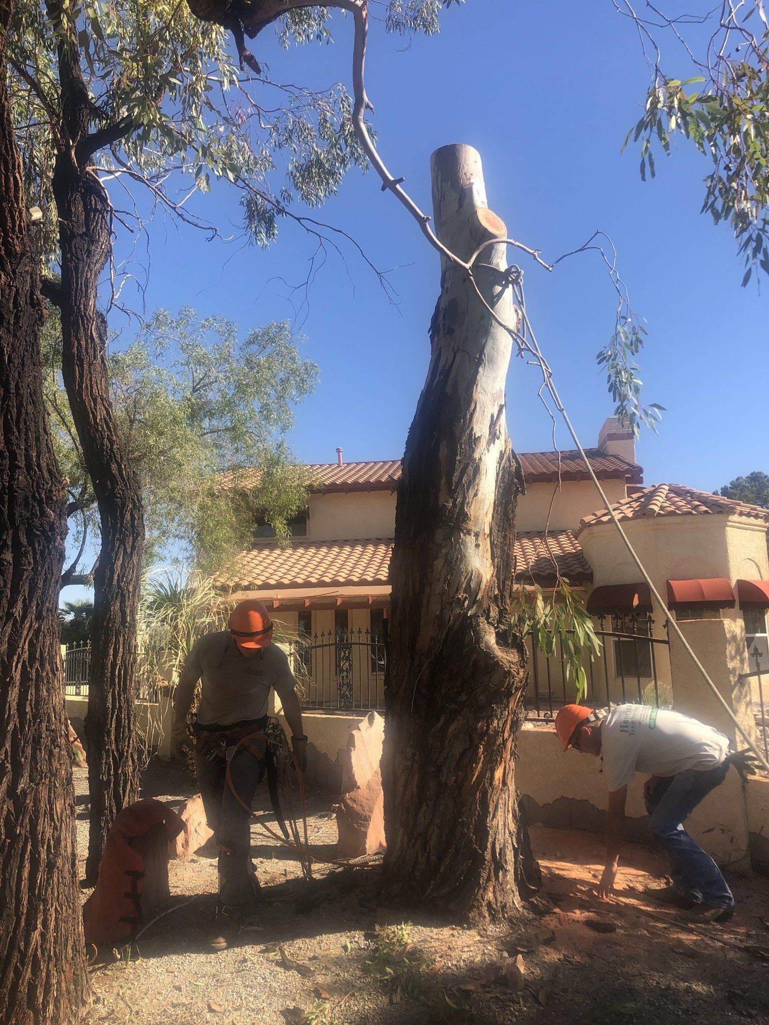 Two Working Men — Las Vegas, NV — Henrie Tree Service