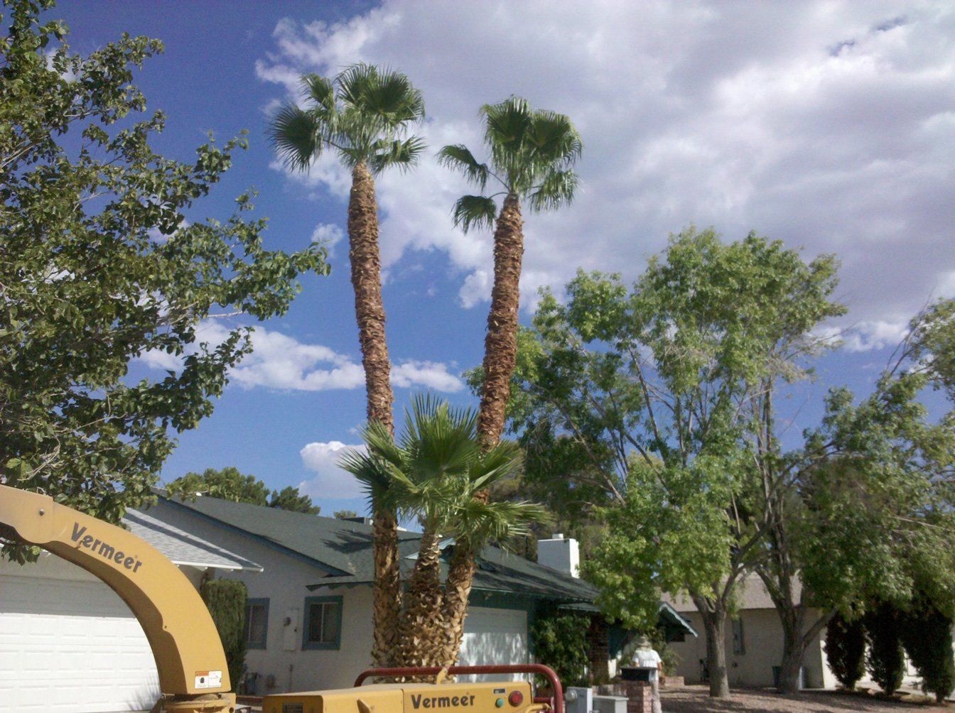 After Trimming Service — Las Vegas, NV — Henrie Tree Service