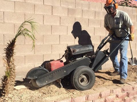 Las Vegas Tree Service — Worker Grinding Stump in Las Vegas, NV