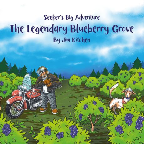 Book cover for