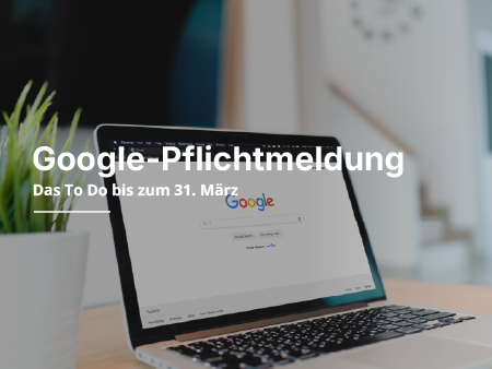 Ein Laptop steht neben einer Pflanze auf einem Tisch.