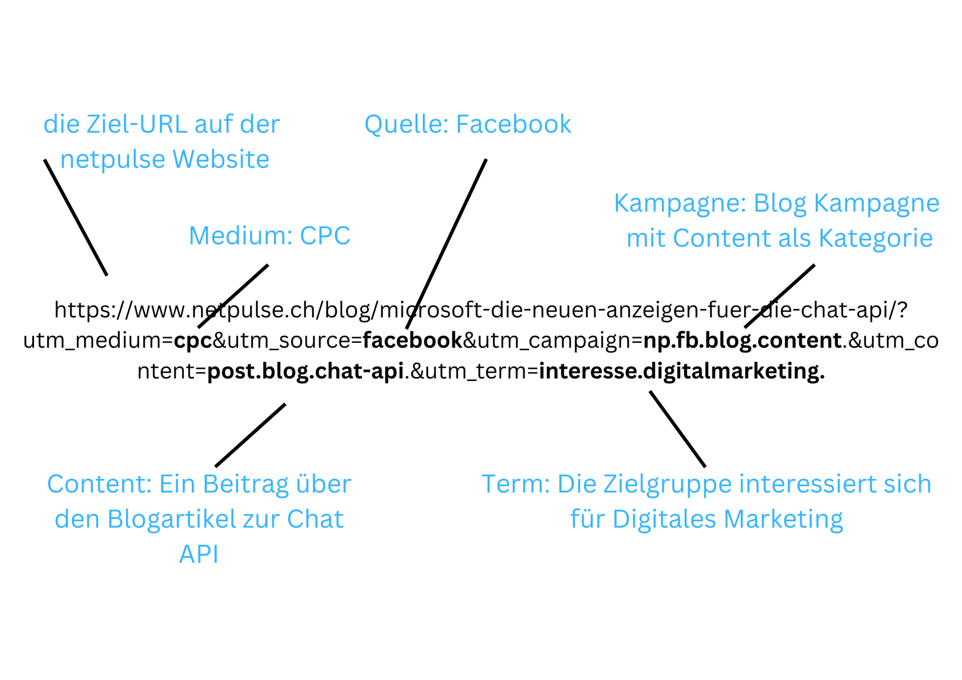 Die Grafik zeigt, wie eine URL zum Schluss aussehen könnte.