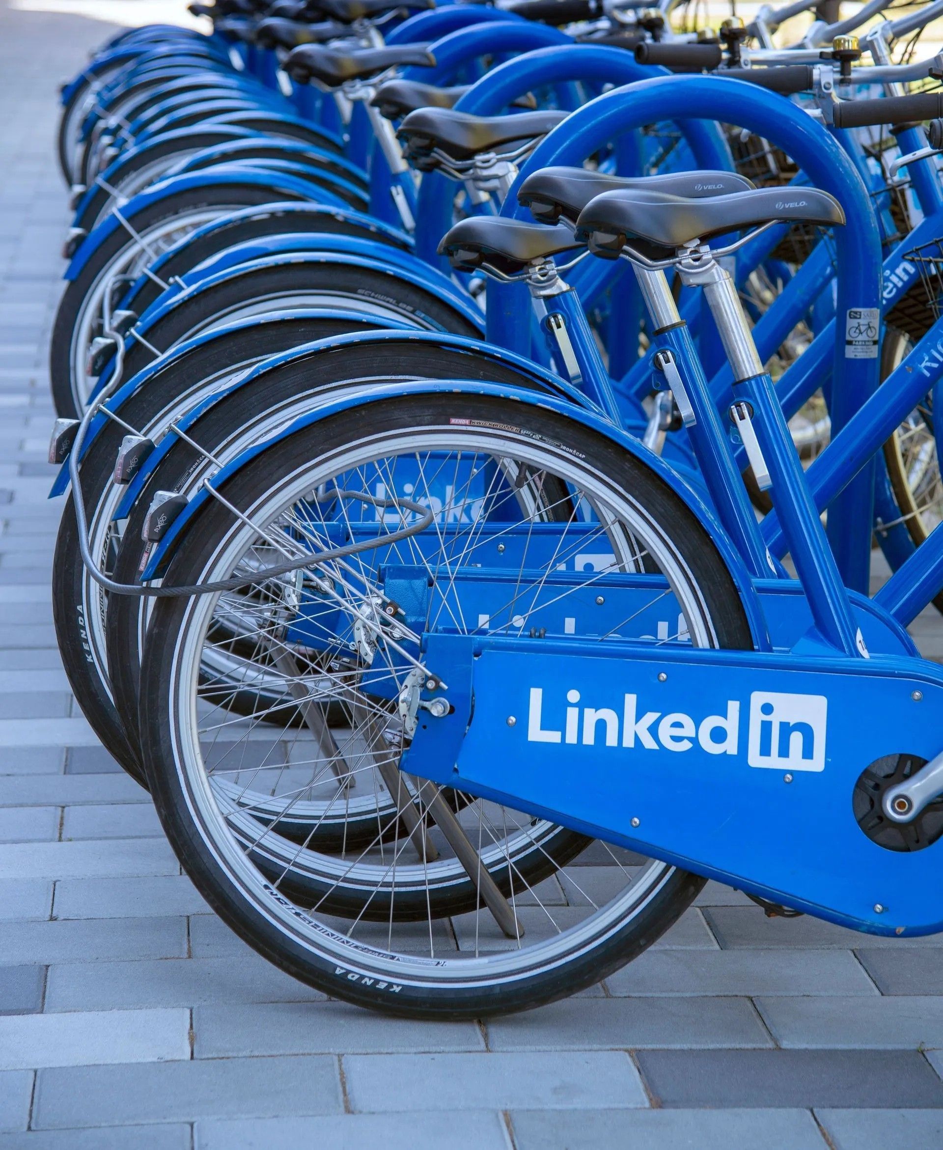 Blaue Fahrräder mit einem LinkedIn-Logo, aufgereiht auf der Strasse