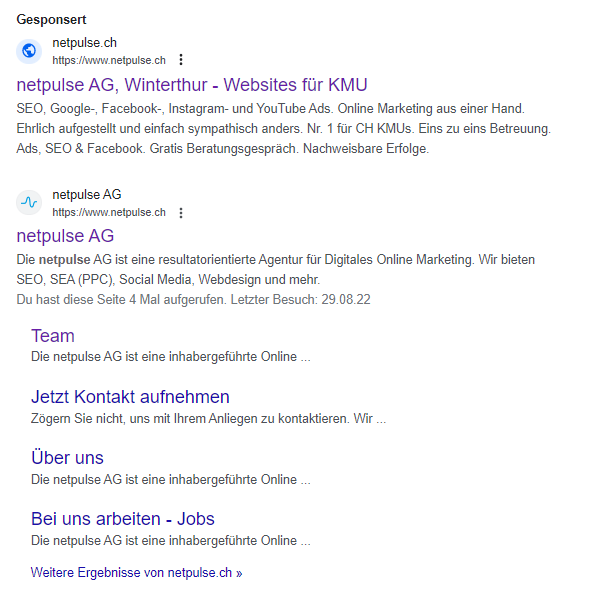 Ein Screenshot einer Google-Suche nach netpulse ag