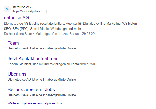 Ein Screenshot einer Google-Suche nach netpulse ag