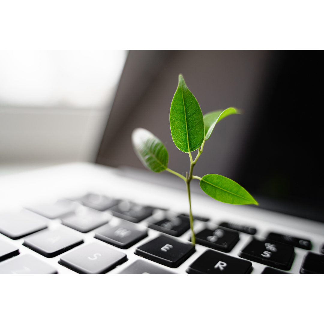 A small plant is growing out of a laptop keyboard.