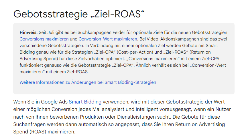 Google Seite über Ziel ROAS