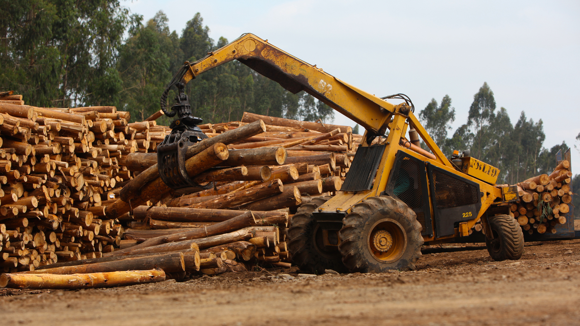 A yellow tractor is working on a pile of logs