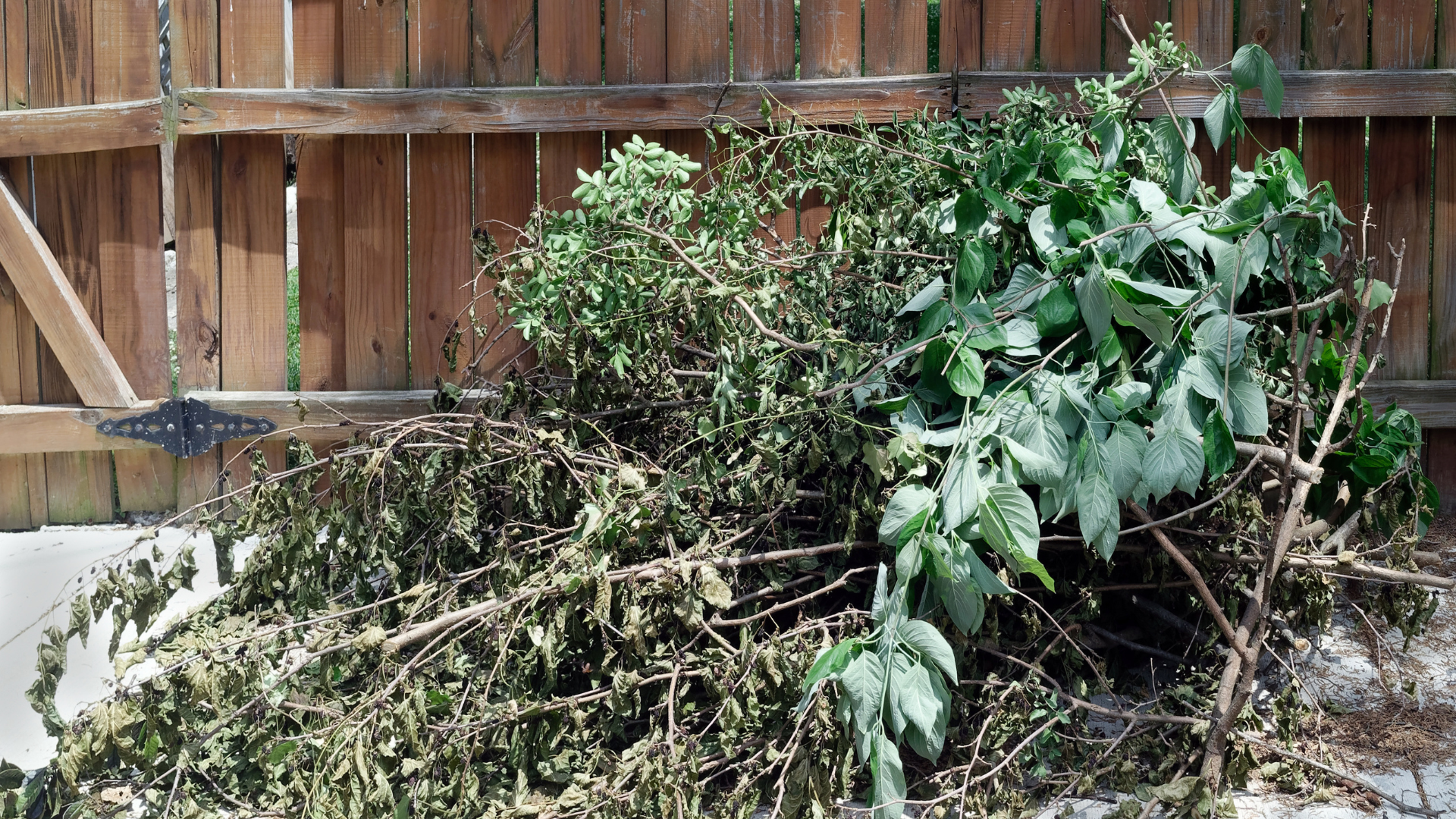 A pile of branches and leaves is sitting in front of a wooden fence.