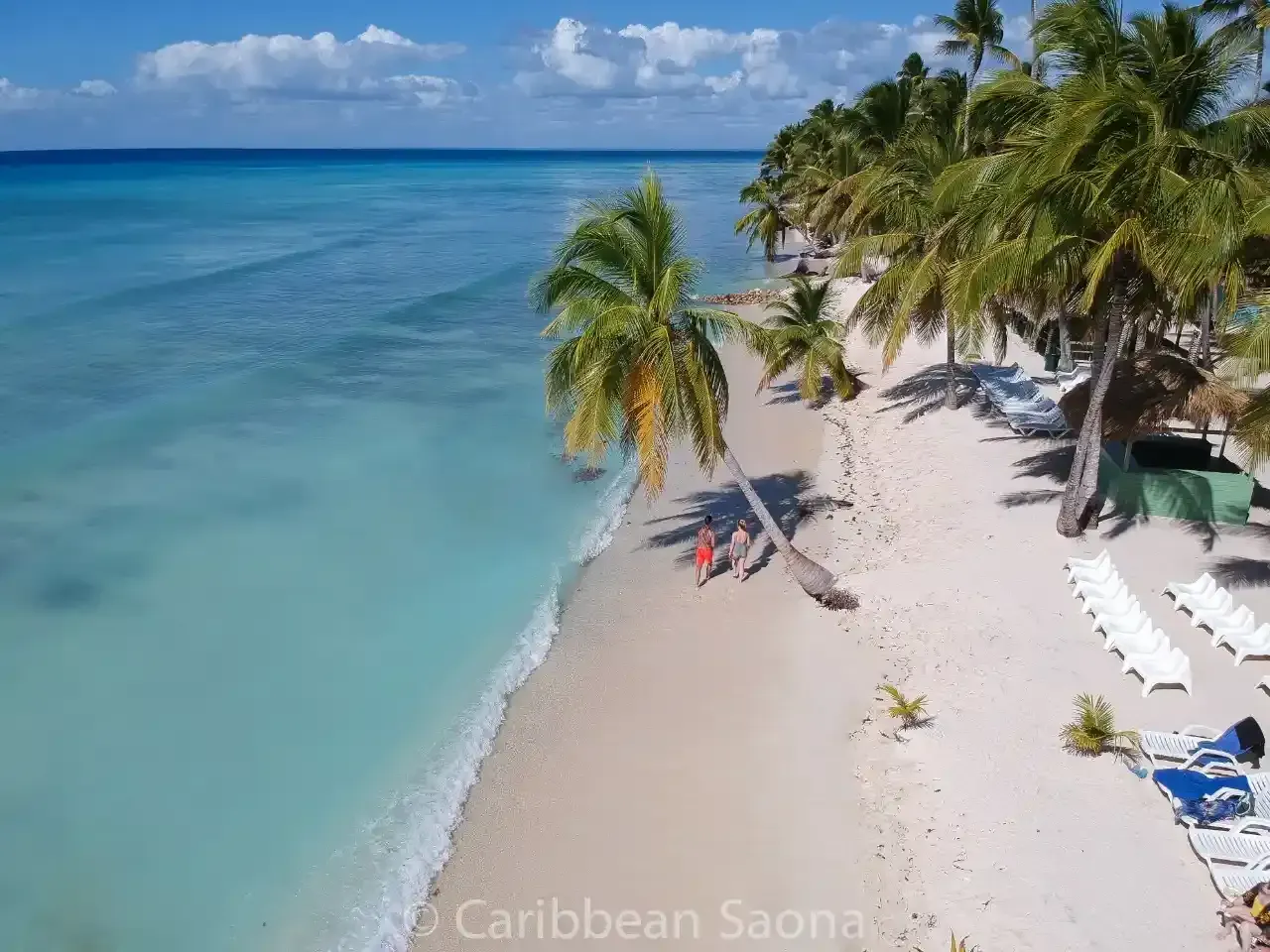 Excursión a la playa de Isla Saona desde Punta Cana