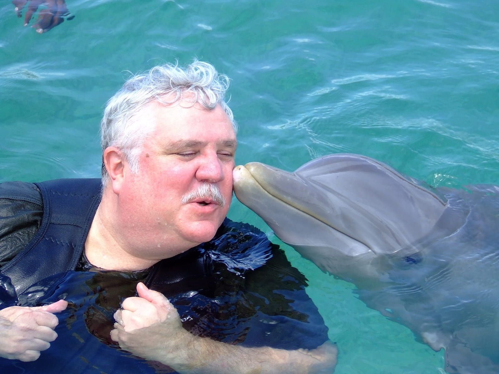 Delfín dando un beso a un turista durante un encuentro con delfines en Punta Cana