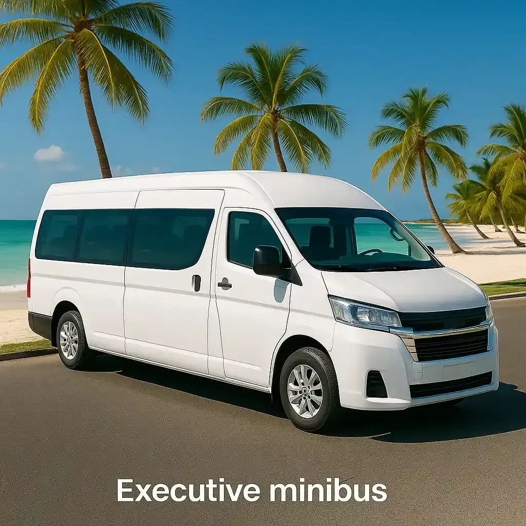 Minivan familiar para traslados desde y hacia el Aeropuerto de Punta Cana con vista tropical.