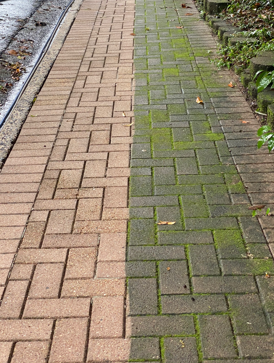Before And After Cleaning The Driveway — FNQ Pressure Cleaning  in Atherton, QLD
