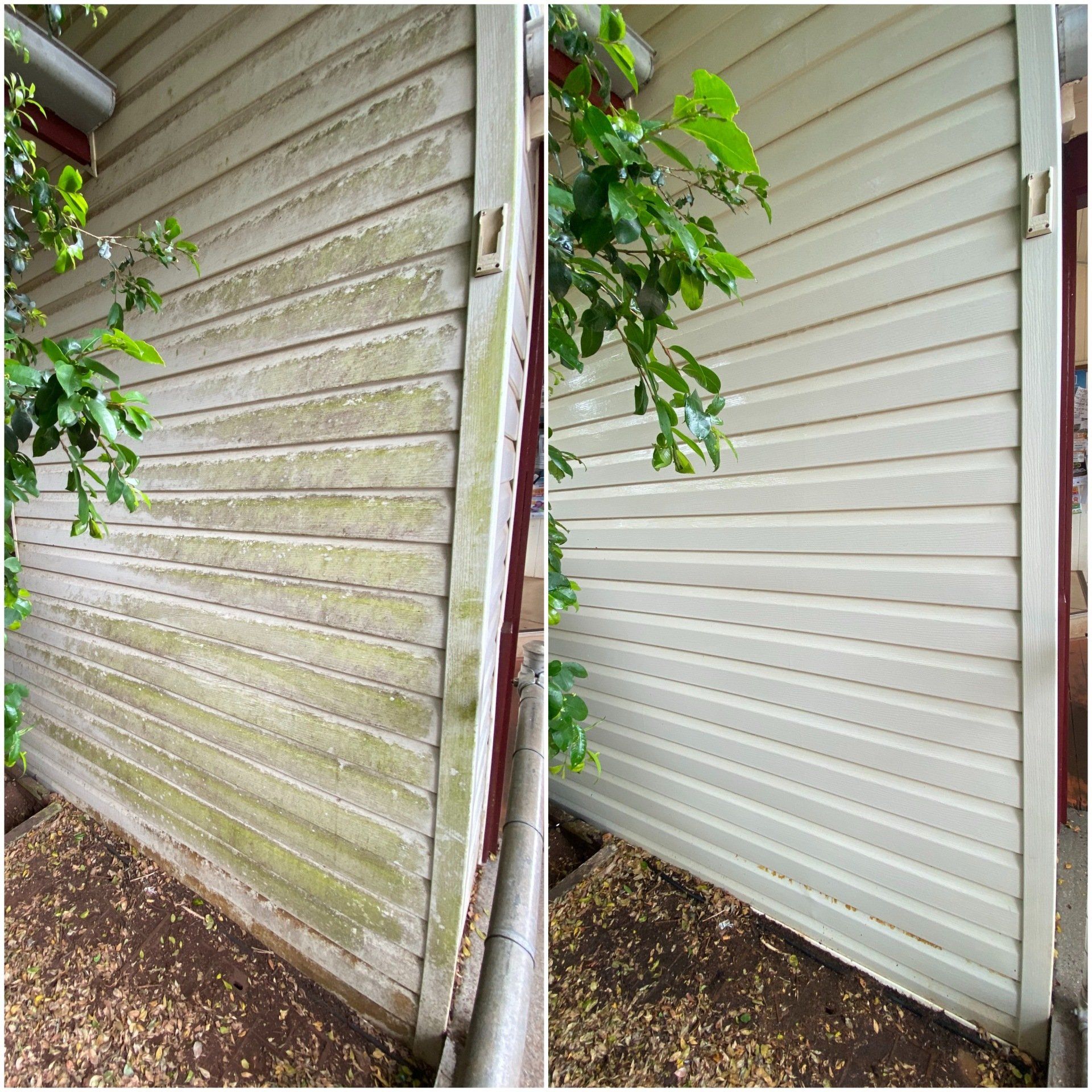 Before And After Cleaning — FNQ Pressure Cleaning  in Atherton, QLD