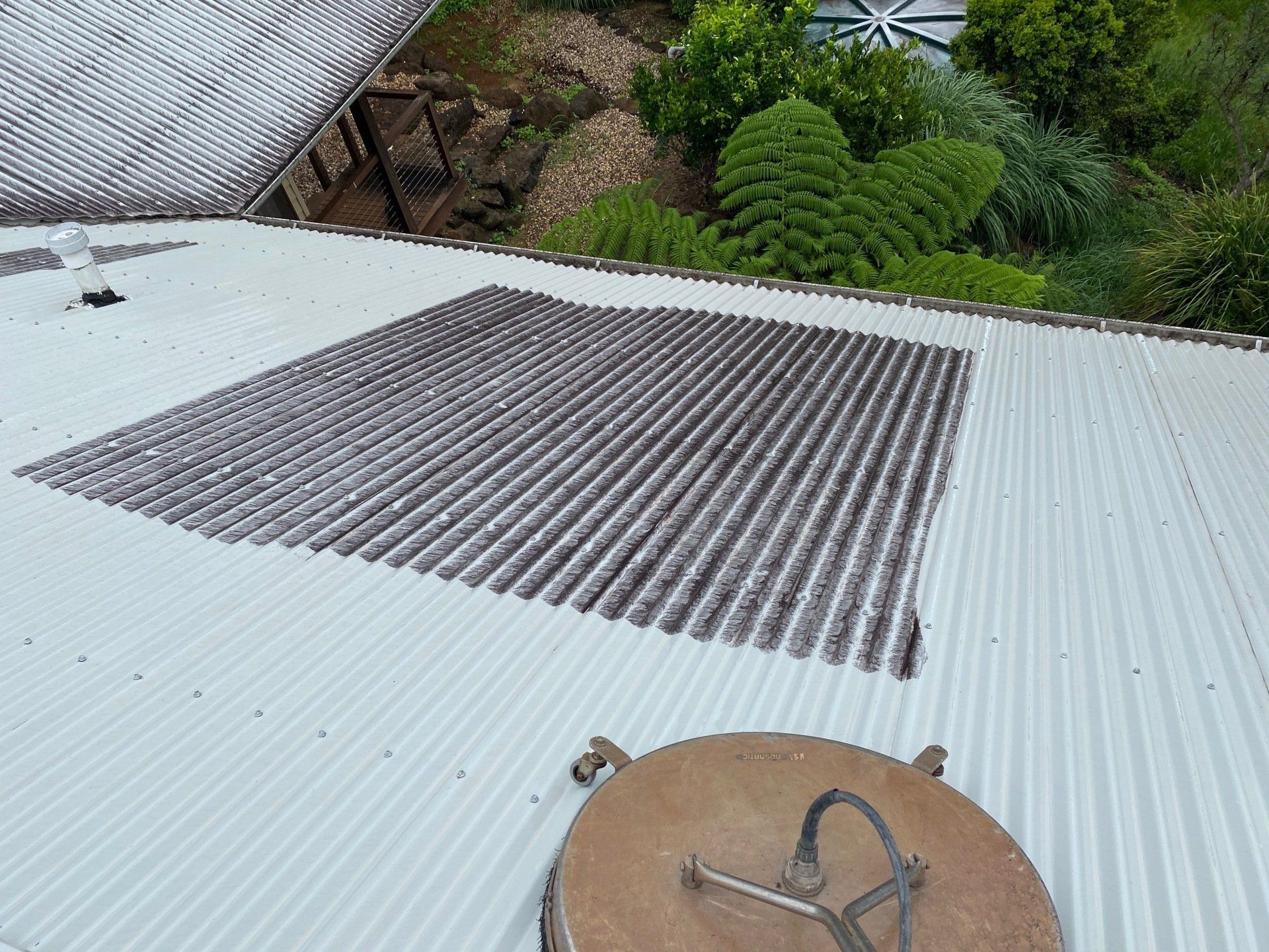 Roof Cleaning — FNQ Pressure Cleaning  in Atherton, QLD
