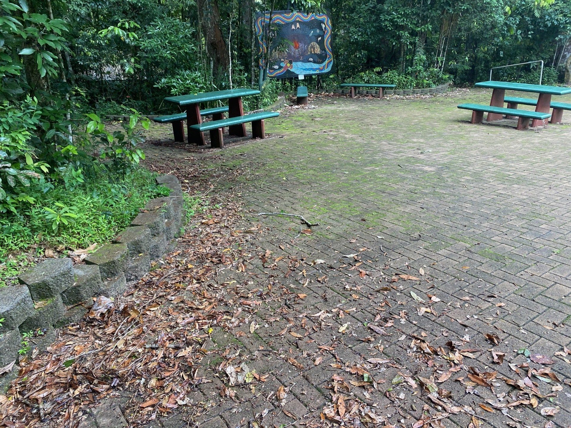 Before Cleaning The Park — FNQ Pressure Cleaning  in Atherton, QLD