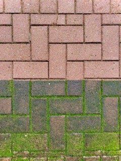 Floor Cleaning Before And After — FNQ Pressure Cleaning  in Atherton, QLD