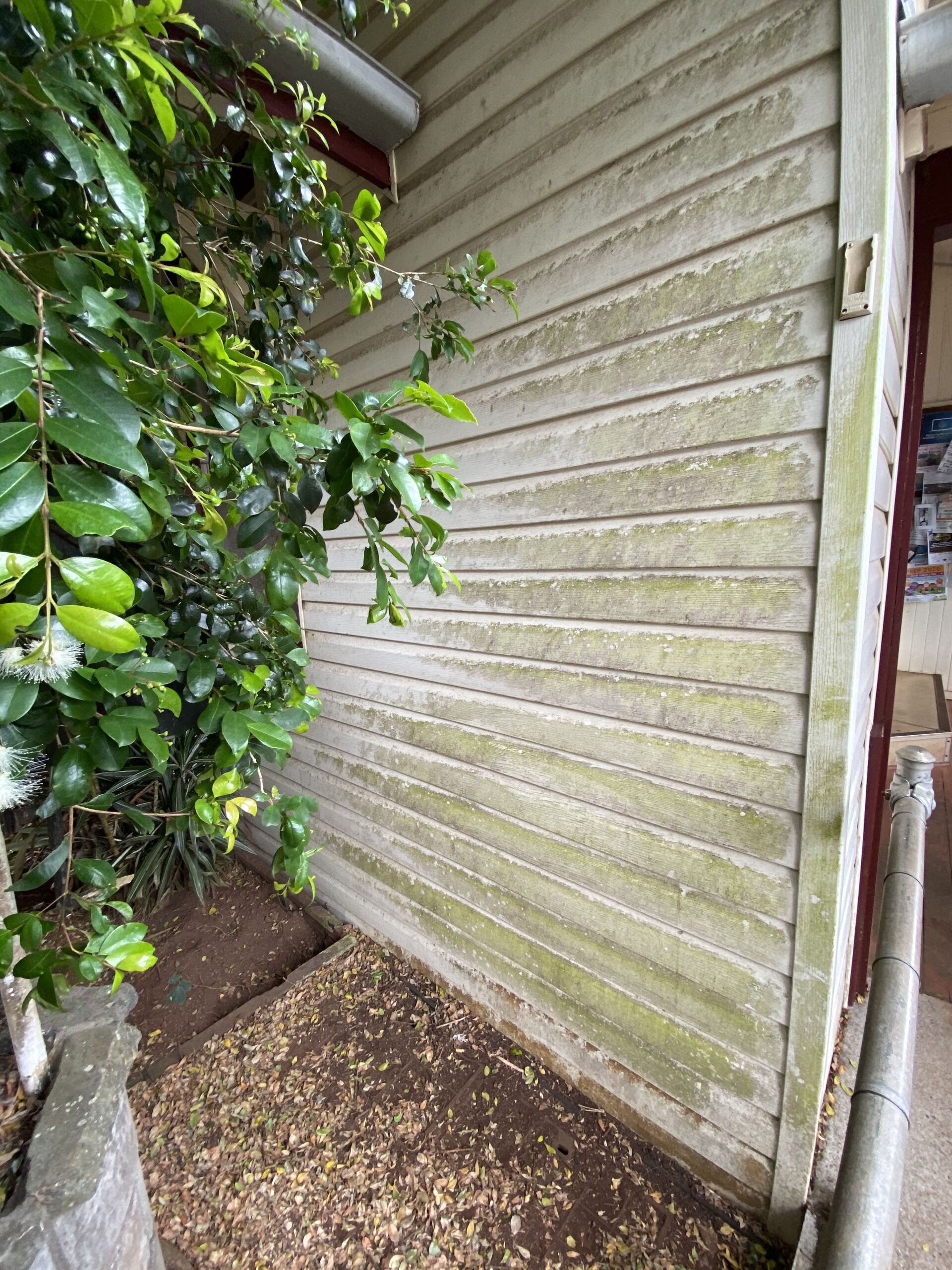 Before Using Pressure Cleaning — FNQ Pressure Cleaning  in Atherton, QLD