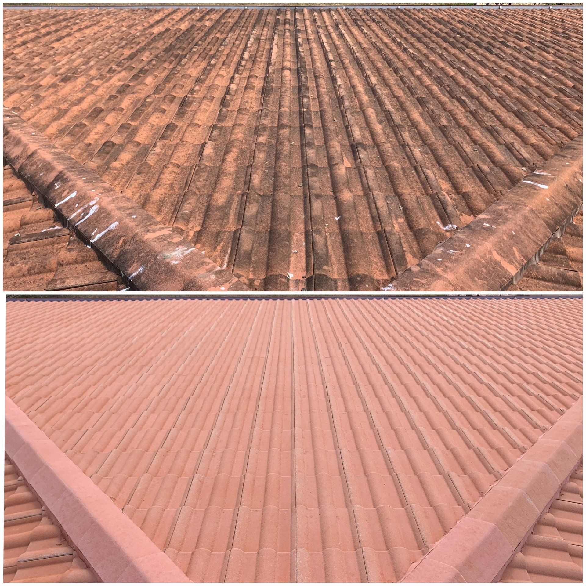 The Roof Before And After — FNQ Pressure Cleaning  in Atherton, QLD