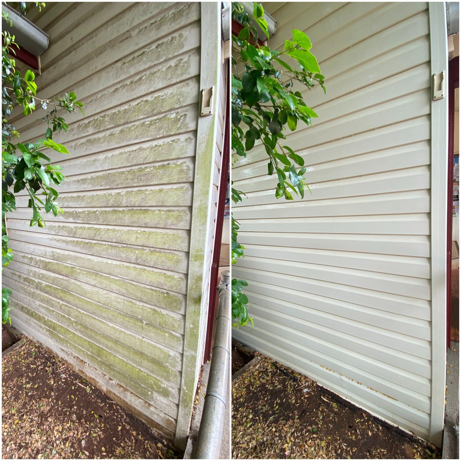 Before And After Using Pressure Cleaning — FNQ Pressure Cleaning  in Atherton, QLD
