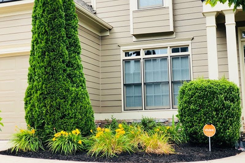 A house with a lot of trees and flowers in front of it
