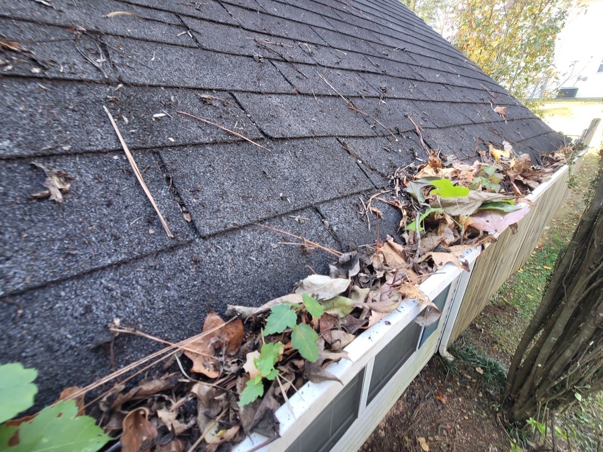 A gutter filled with leaves on a roof next to a fence