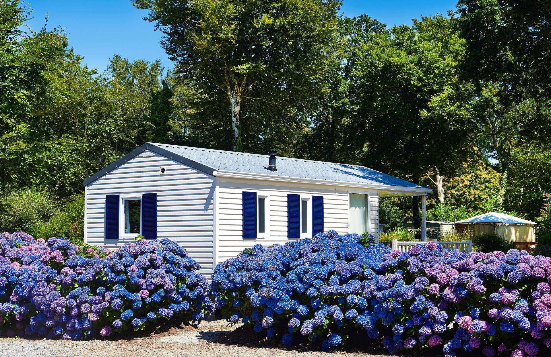 A white house with blue shutters is surrounded by purple flowers