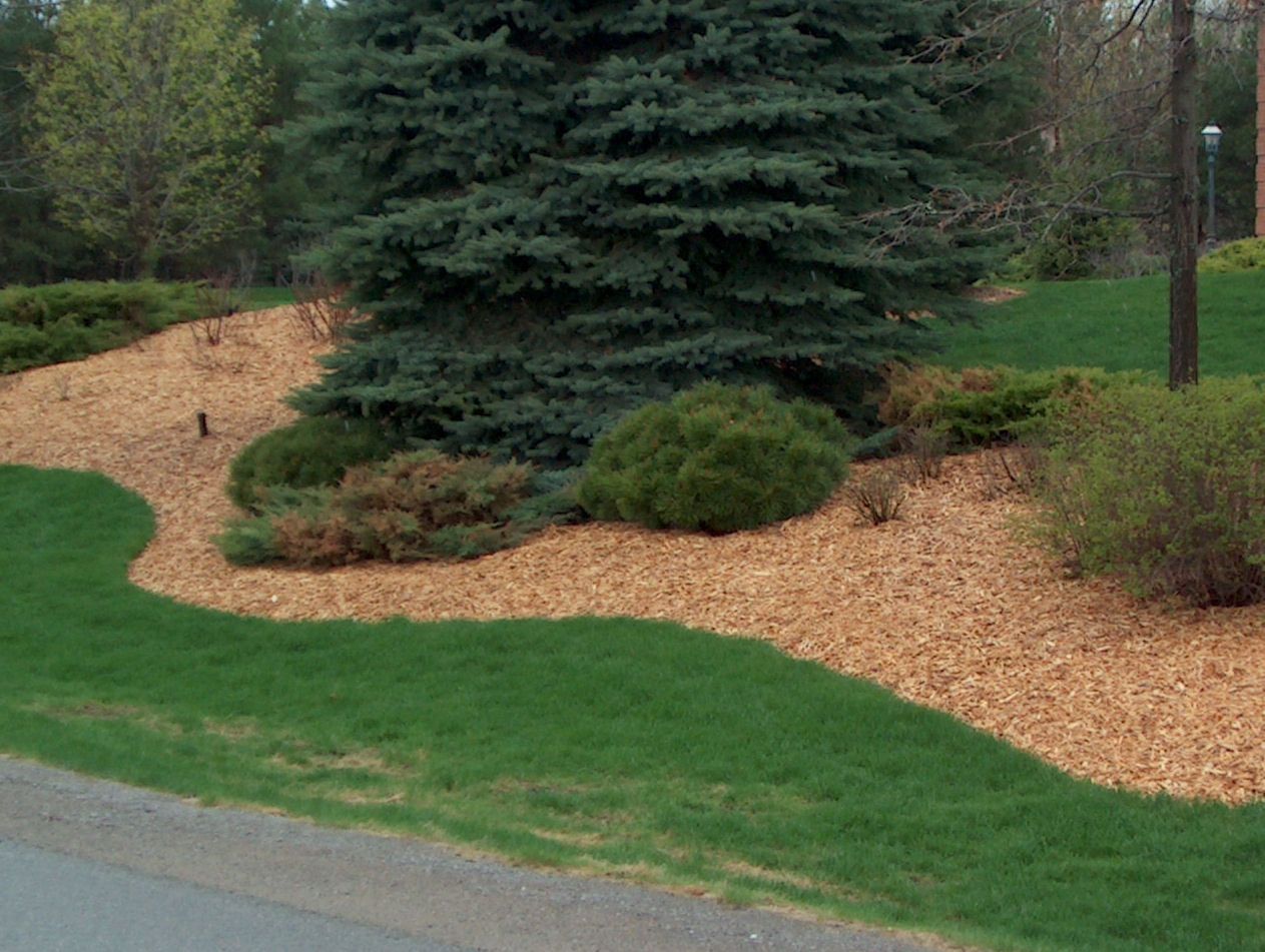 Gravel Hardscape Charlotte North Carolina