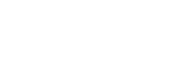 Lion Windows, LLC Logo
