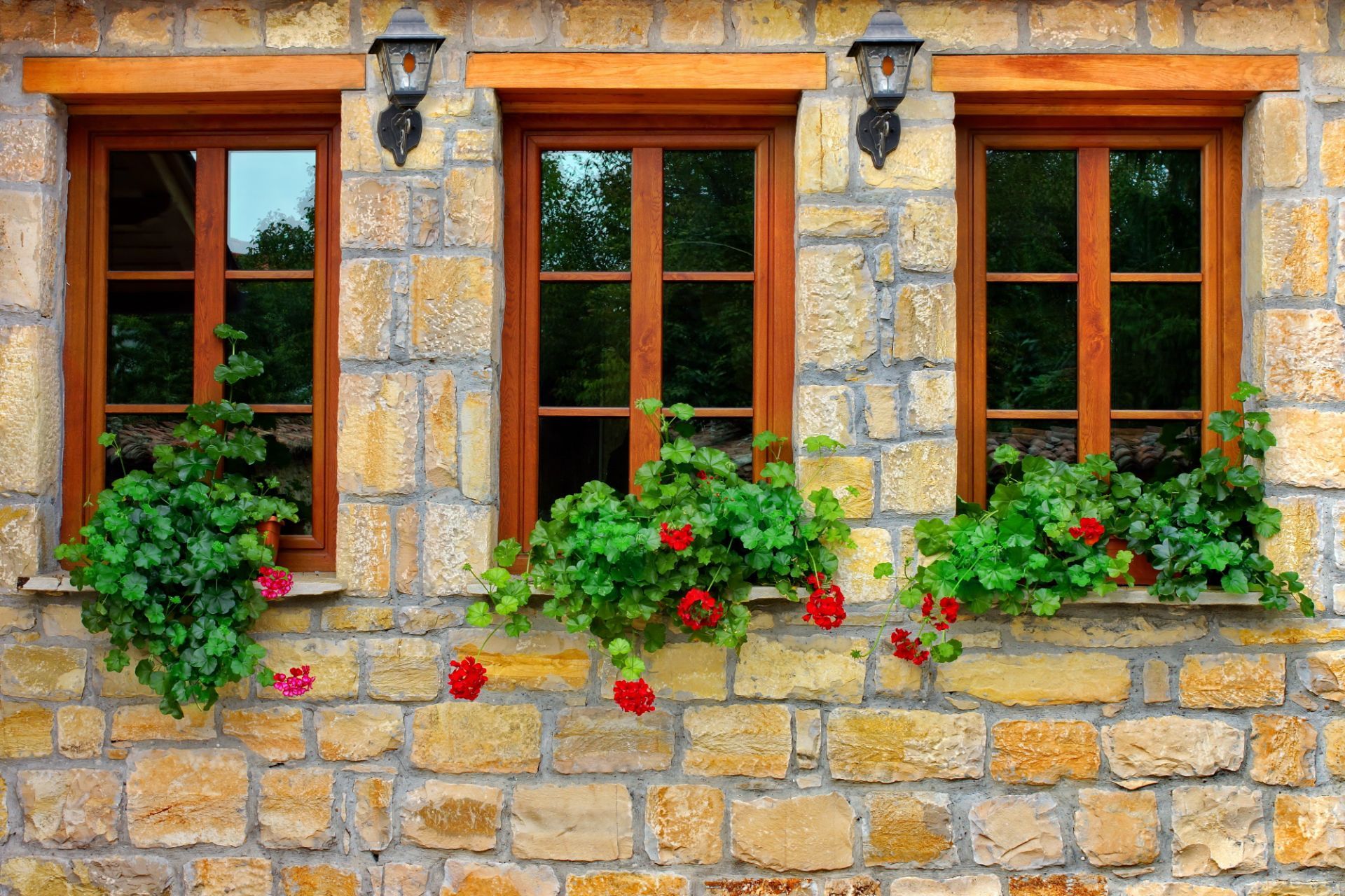 Three wooden windows with potted plants