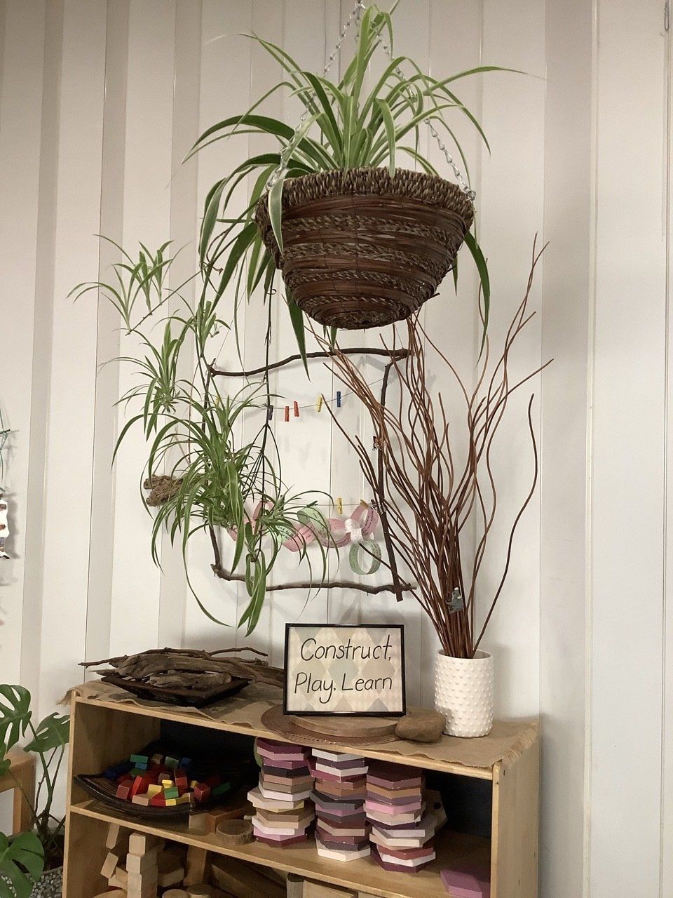 A Shelf With Plants Hanging From The Wall And A Sign On It — Juniors At Wamberal in Wamberal, NSW
