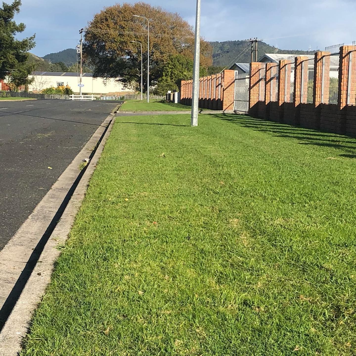 Grassy lawn next to a street with a brick fence and a tree in the background.