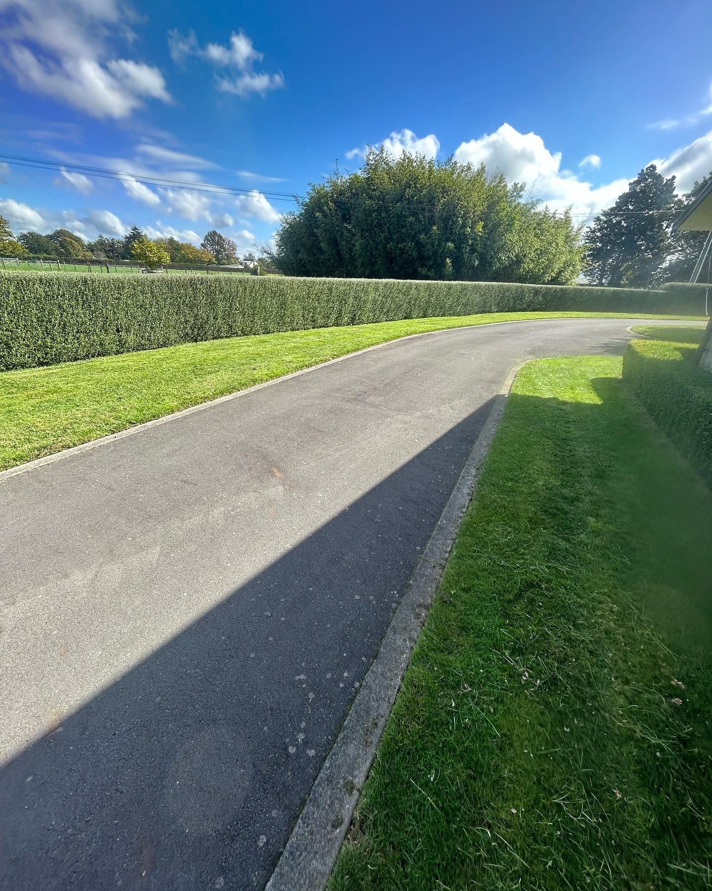 Asphalt path curves beside green grass and a hedge; bright sky with clouds.