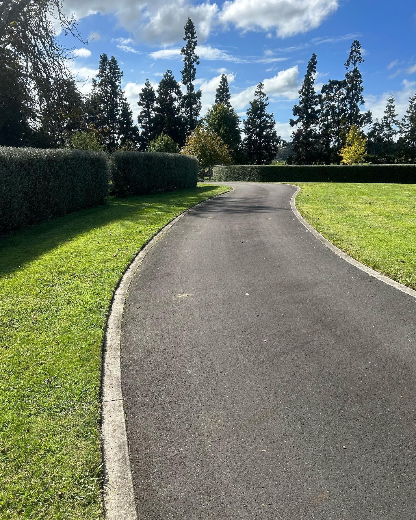 Paved path curves through green lawn, bordered by trimmed hedges and tall trees under a blue sky.