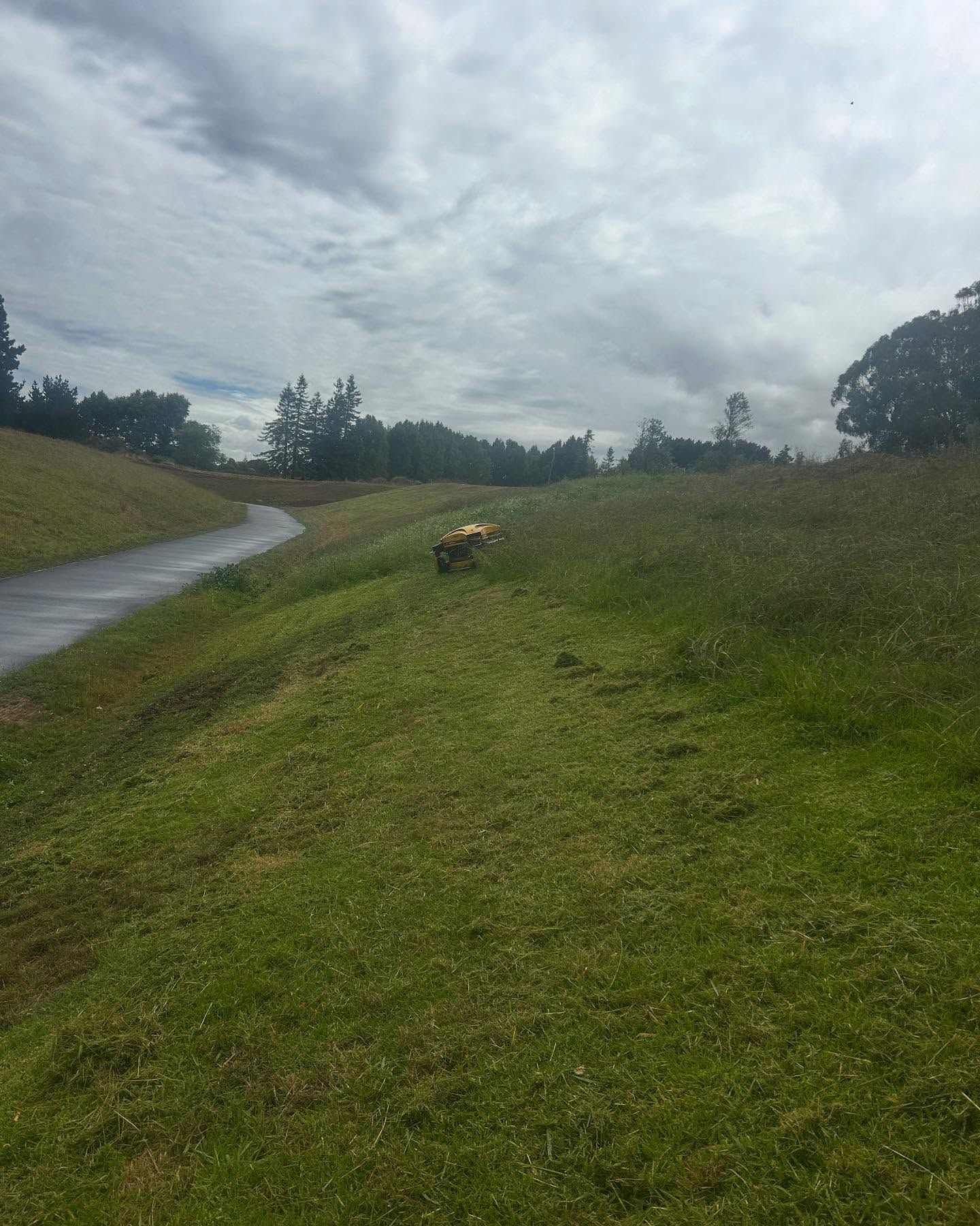 Grassy hillside with a path and a dog in the distance under a cloudy sky.
