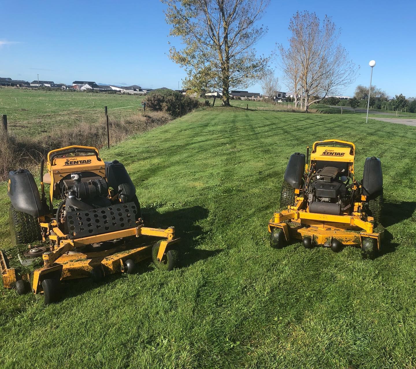 Two yellow zero-turn mowers on a green lawn with trees and a fence in the background. Sunny day.